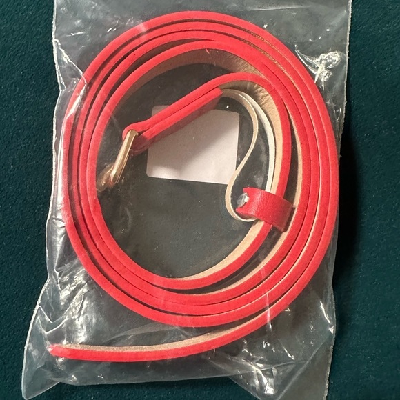 Popsy clothing belt new size large ladies accessories - Picture 2 of 5